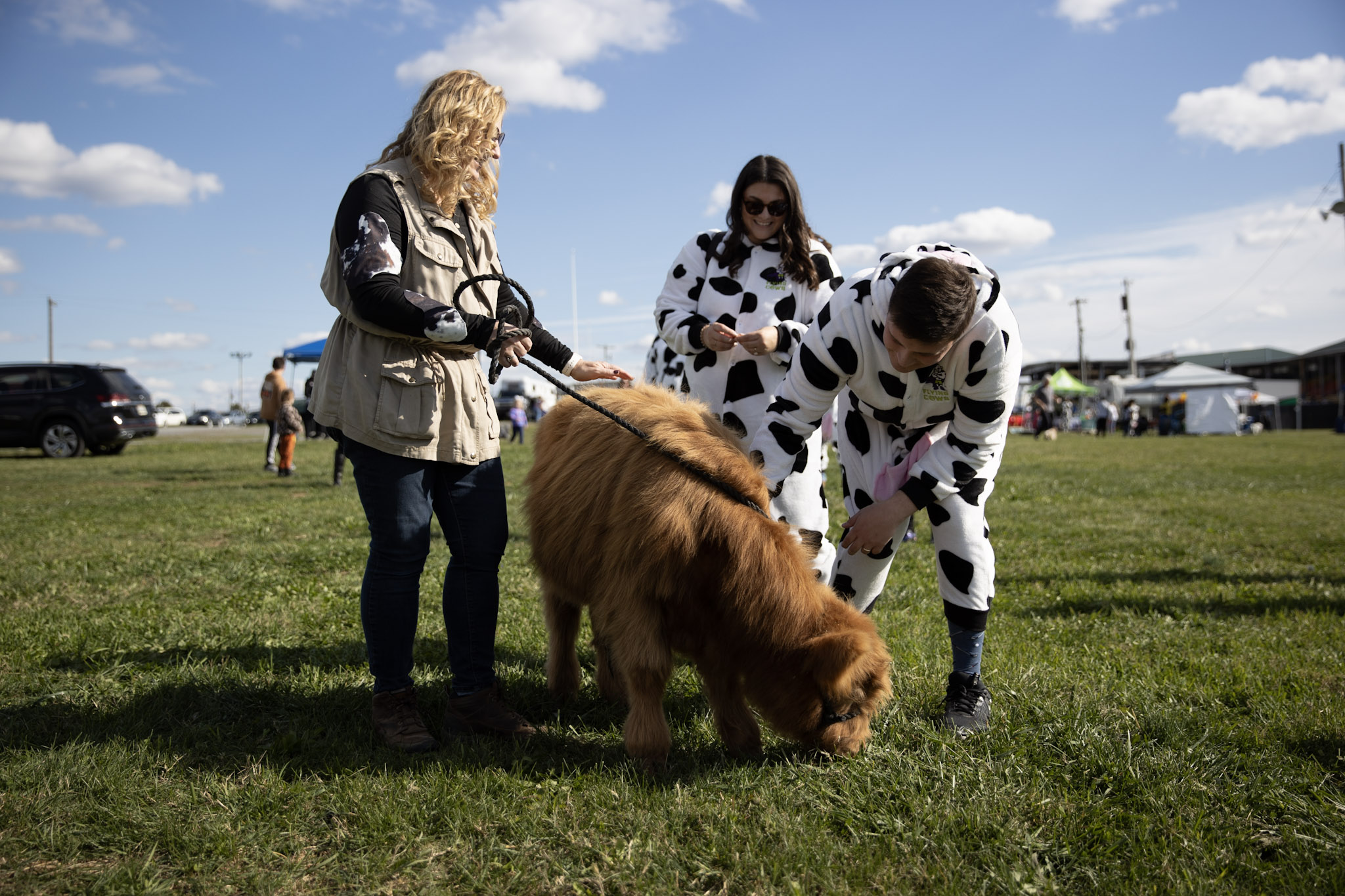 Cowfest 1