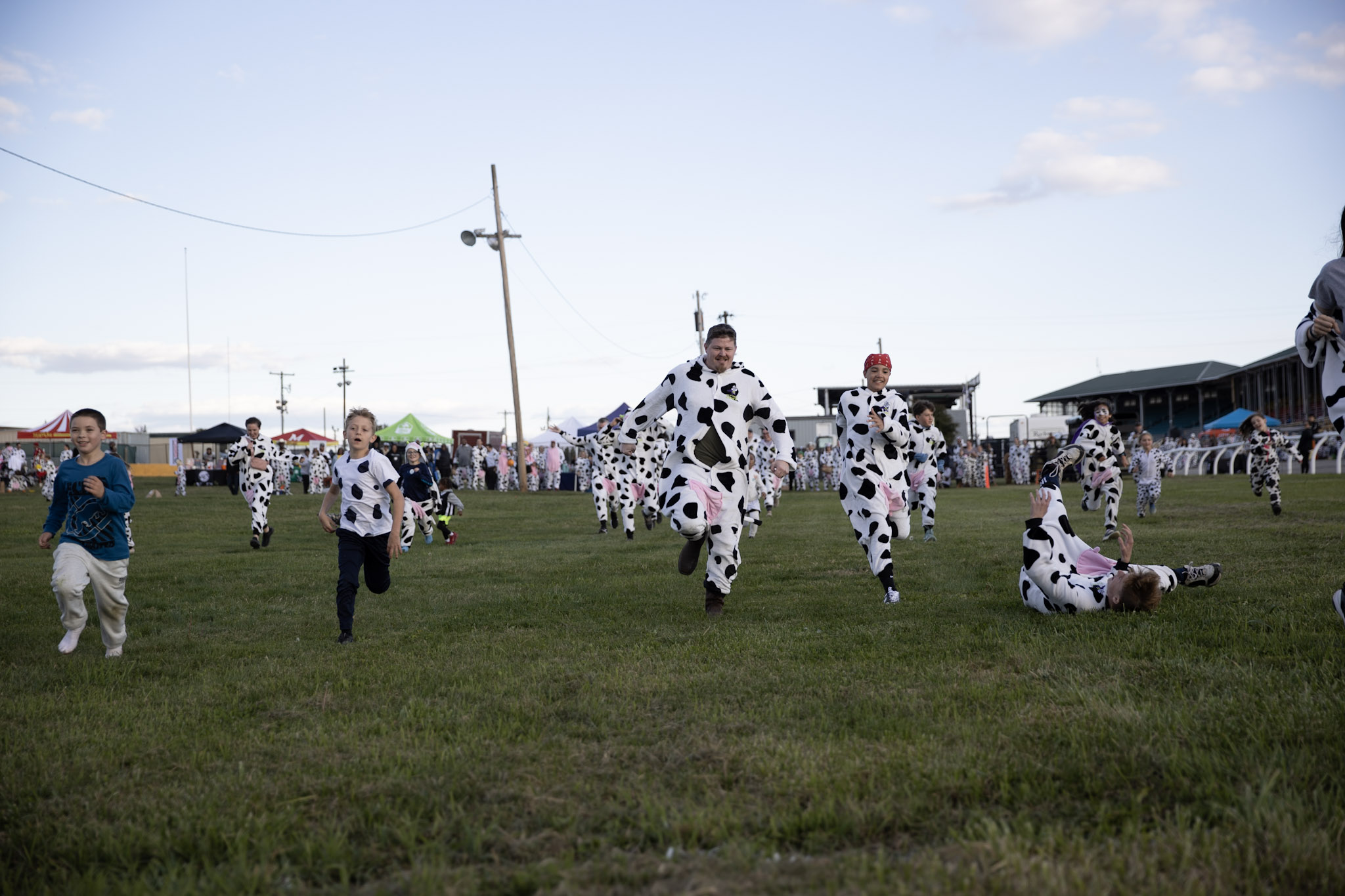 Cowfest 8